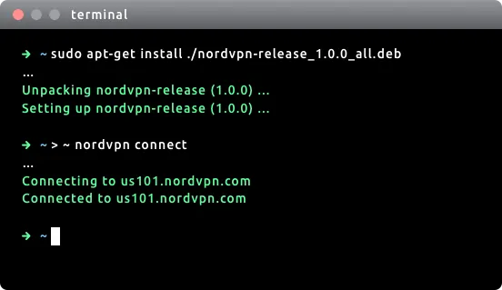 KemitVPN Linux application showing advanced configuration options in a terminal